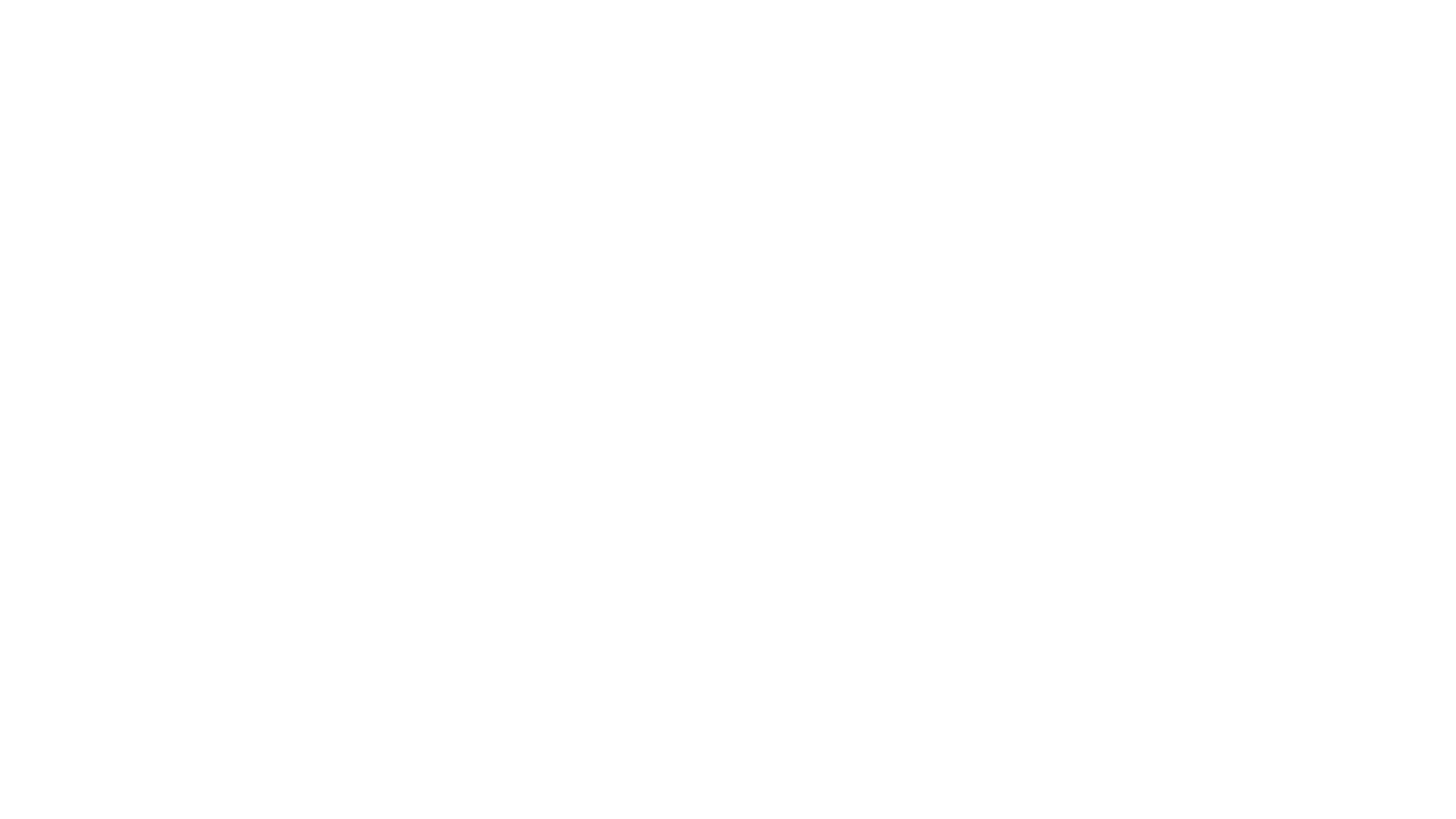 Vibn Studios